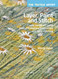 Layer Paint and Stitch