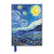 Vincent van Gogh: The Starry Night