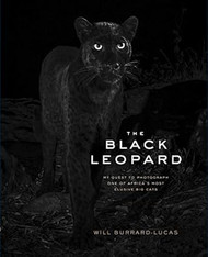 The Black Leopard