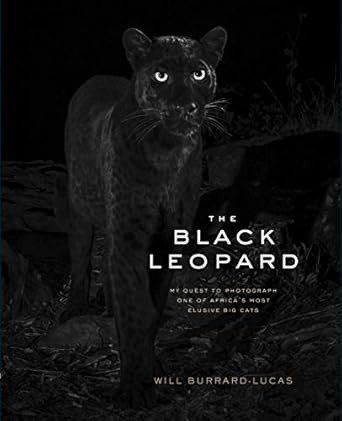 The Black Leopard