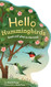 Hello Hummingbirds