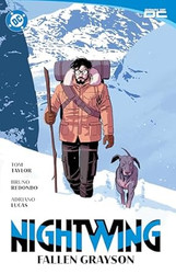 Nightwing 7: Fallen Grayson