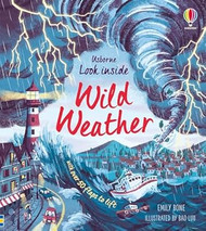 Look Inside Wild Weather