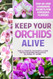 Keep Your Orchids Alive