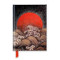 Sun and Sea Lacquer Screen