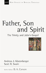 Father Son and Spirit: The Trinity And John'S Gospel