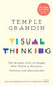 Visual Thinking