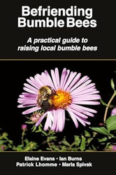 Befriending Bumble Bees