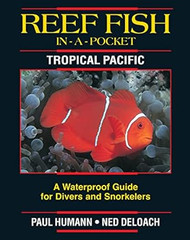 Reef Fish in a Pocket - Tropical Pacific