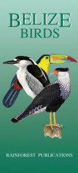 Belize Bird Guide