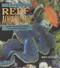 Natural Reef Aquariums