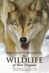 Wild and Wonderful