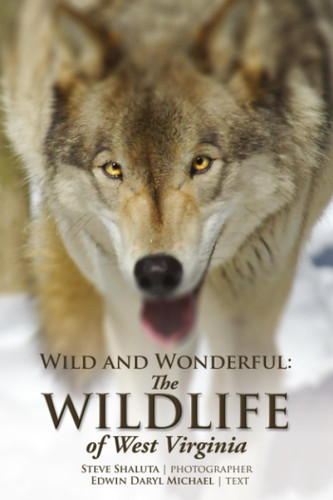 Wild and Wonderful