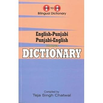 English-Punjabi Punjabi-English One-to-One Dictionary. Exa
