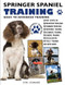 Springer Spaniel Training