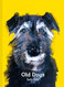 Old Dogs: A collection of charming dog portaits