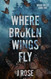 Where Broken Wings Fly: A Small Town Reverse Harem Romance