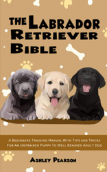 The Labrador Retriever Bible A Beginners Training Manual