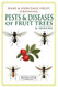 Pests and Diseases of Fruit Trees and Shrubs