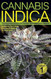 Cannabis Indica