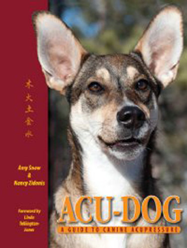Acu-Dog: A Guide to Canine Acupressure