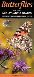 Butterflies of the Mid-Atlantic