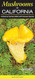 Mushrooms of California