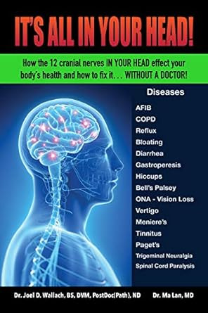 It's All in Your Head! How the 12 cranial nerves in your