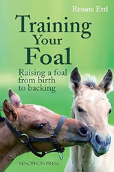 Training Your Foal