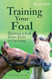 Training Your Foal