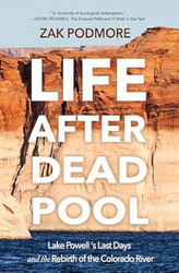 Life After Dead Pool