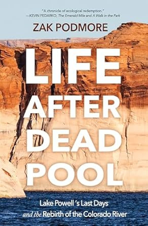 Life After Dead Pool