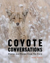 Coyote Conversations