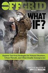 What If?: Experts' Survival Strategies for Natural Disasters