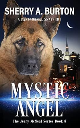 Mystic Angel: Book 8 in The Jerry McNeal Series