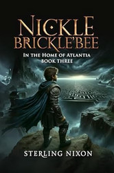 Nickle Brickle'Bee