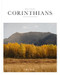 Book of 1 & 2 Corinthians (SC NLT)