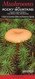 Mushrooms of the Rocky Mountains
