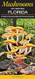 Mushrooms of Central Florida A Guide to Common Edible and
