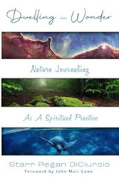Dwelling in Wonder