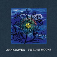 Ann Craven: Twelve Moons