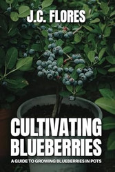 Cultivating Blueberries