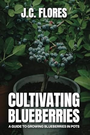 Cultivating Blueberries