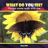What Do You See ?