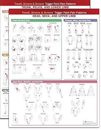 Travell Simons & Simons' Trigger Point Pain Patterns Wall