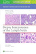 Biopsy Interpretation of the Lymph Node