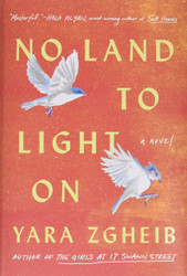 No Land to Light On: A Novel