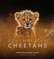 Remembering Cheetahs