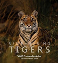 Remembering Tigers