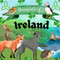 Animals of Ireland Ireland for Kids Ireland Animal Book